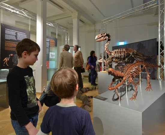 Geiseltalausstellung „Aus der Morgenröte – Pferdejagende Krokodile und Riesenvögel“