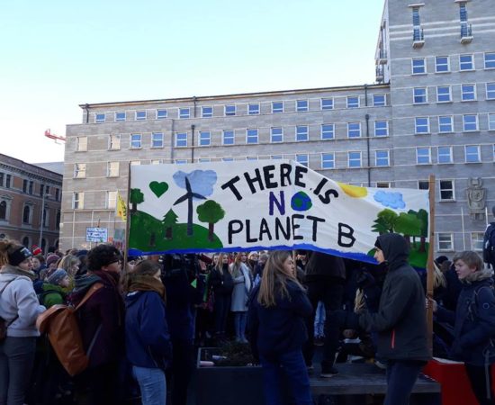 „Fridays for Future“ – der Stadtelternrat Halle bezieht Position