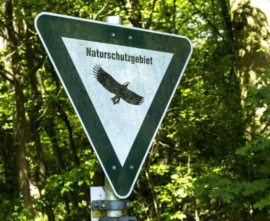 Die Angersdorfer Teiche – ein Naturdenkmal