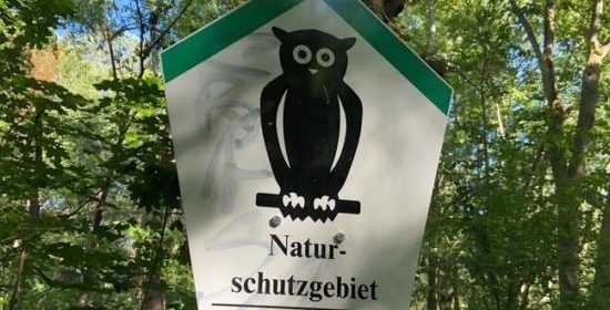 Schotter im Naturschutzgebiet Peissnitz